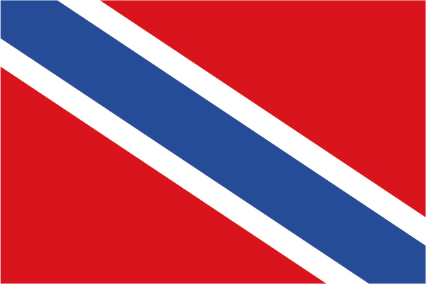Bandera de Arandilla