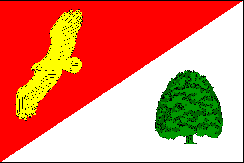 Bandera de La Yecla